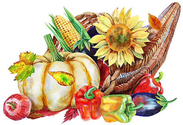 JPG 해외이미지 꽃 잎 채소 일러스트 사람없음 해외일러스트 식물 파일형식 이미지허브