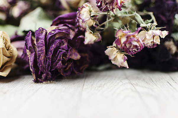 포토 JPG 해외이미지 식물 디자인 꽃 꽃다발 백그라운드 잎 꽃무늬 패턴 건조 발렌타인데이 사랑 사람없음 목재 장미 갈색 노란색 꽃병 낭만 수확 가을 시골 직물 천 삼베 질감 복고 캔버스 자루 내추럴 옛날 해외포토 나무 계절 감정 컬러 컨셉 무늬 농업 재료 데이이벤트 파일형식 천_직물 이미지허브