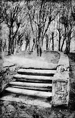 포토 JPG 해외이미지 나무 공원 종이 백그라운드 자연 날씨 추상 프레임 미술 사람없음 우주 계단 사진촬영 공백 수확 골동품 나뭇가지 얼룩 황폐 낟알 앨범 그림 질감 복고 찢어짐 타운 단계 유지 구식 그런지 보관소 썩음 옛날 노화 스타일 효과 해외포토 식물 공공시설 컨셉 무늬 농업 모션 문화예술 촬영 도시 저장 생태계 파일형식 이미지허브