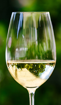 포토 JPG 해외이미지 주간 와인잔 한잔 사람없음 야외 아웃포커스 와인 화이트와인 해외포토 자연요소 1 술잔 주류 촬영기법 파일형식 이미지허브