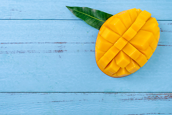 포토 JPG 해외이미지 스튜디오촬영 하늘색 나뭇잎 사람없음 하이앵글 노란색 망고 해외포토 뷰포인트 컬러 잎 실내 파란색 열대과일 파일형식 이미지허브