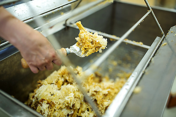 포토 JPG 서양인 외국인 손 농업 한명 들기 사람 야외 신체부위 꿀벌 체코 꿀 벌꿀 양봉 양봉업 국내포토 1 유럽 산업 모션 인종 벌_곤충 파일형식