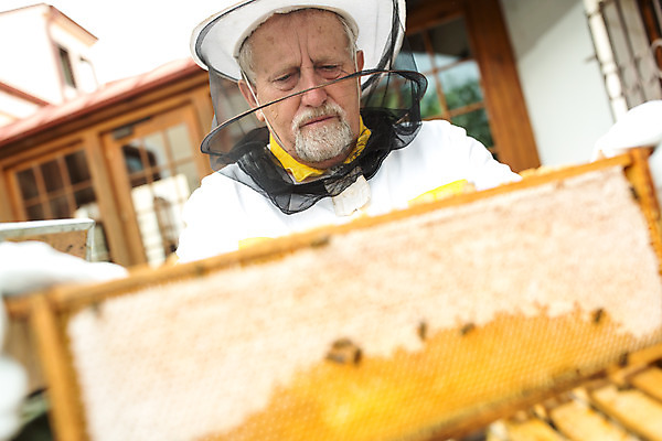 포토 JPG 서양인 외국인 모자 응시 노년 남자 농업 한명 서기 사람 상반신 야외 앞모습 꿀벌 벌 70대 체코 꿀 벌집 벌꿀 양봉 양봉업 노인남자한명만 국내포토 1 시선 잡화 유럽 산업 뷰포인트 곤충 모션 인종 성인 벌_곤충 남자한명만 노인남자만 파일형식