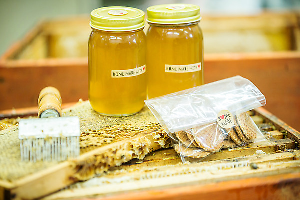 포토 JPG 서양인 외국인 농업 유리병 사람없음 야외 과자 꿀벌 체코 꿀 벌집 벌꿀 양봉 양봉업 국내포토 유럽 산업 병_용기 디저트 인종 벌_곤충 파일형식