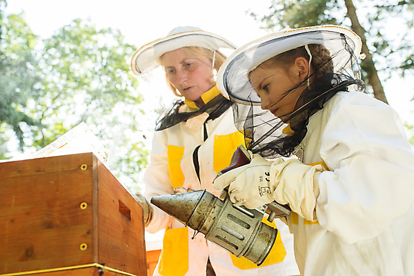 포토 JPG 서양인 외국인 모자 응시 여자 어린이 40대 중년 농업 서기 들기 사람 소녀 상반신 야외 두명 옆모습 꿀벌 뿌리기 체코 꿀 벌꿀 양봉 양봉업 여자만 국내포토 시선 잡화 유럽 산업 뷰포인트 모션 인종 성인 벌_곤충 파일형식