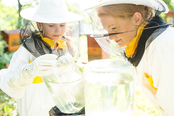 포토 JPG 서양인 외국인 응시 여자 어린이 농업 서기 사람 소녀 상반신 20대 성인 야외 두명 앞모습 옆모습 잡기 꿀벌 물통 체코 꿀 벌꿀 소금물 양봉 양봉업 여자만 국내포토 시선 유럽 산업 뷰포인트 모션 인종 청년 벌_곤충 파일형식