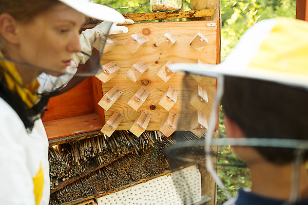 포토 JPG 서양인 외국인 응시 여자 남자 아들 어린이 로우앵글 농업 엄마 설명 서기 사람 소년 상반신 20대 성인 야외 두명 옆모습 뒷모습 꿀벌 체코 꿀 벌꿀 양봉 양봉업 국내포토 모자관계 시선 유럽 산업 뷰포인트 가족 모션 인종 청년 벌_곤충 파일형식
