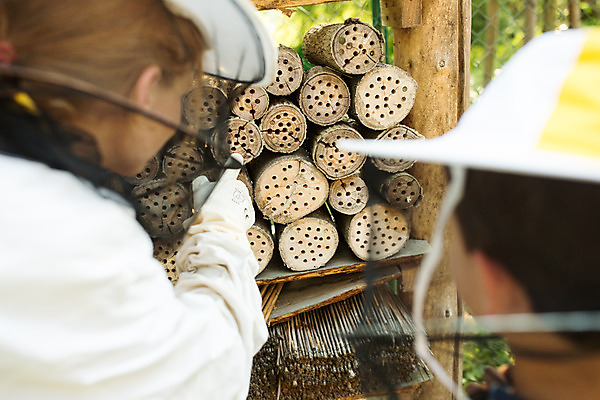 포토 외국인 시선 남자 유럽 산업 어린이 뷰포인트 가족 모션 표정 사람 인종 손짓 청년 벌_곤충 꿀 파일형식 두명 서기 미소 가리킴 응시 20대 여자 아들 엄마 상반신 뒷모습 설명 JPG 야외 체코 꿀벌 양봉업 농업 서양인 양봉 소년 성인 벌꿀 국내포토