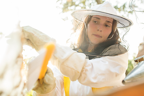 포토 JPG 서양인 외국인 응시 여자 로우앵글 농업 한명 서기 사람 상반신 20대 성인 야외 앞모습 솔 꿀벌 체코 꿀 벌꿀 양봉 양봉업 성인여자한명만 털기 국내포토 1 시선 유럽 산업 뷰포인트 모션 인종 청년 벌_곤충 여자한명만 성인여자만 파일형식