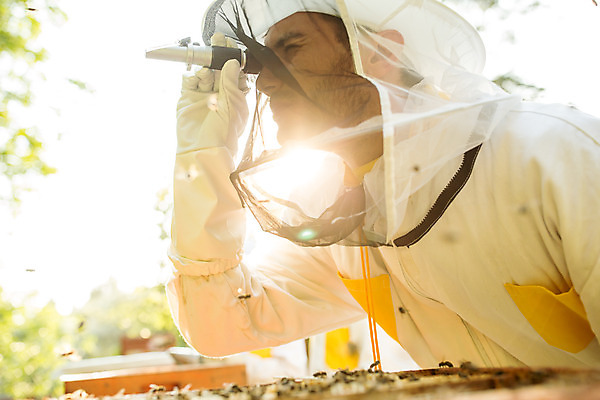 포토 JPG 서양인 외국인 응시 남자 로우앵글 농업 한명 서기 들기 사람 상반신 성인 야외 옆모습 30대 눈감음 꿀벌 벌 체코 꿀 벌꿀 양봉 양봉업 성인남자한명만 당도측정기 국내포토 1 시선 유럽 산업 뷰포인트 곤충 모션 인종 장년 기계 벌_곤충 남자한명만 성인남자만 파일형식