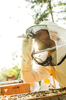 포토 JPG 서양인 외국인 응시 남자 로우앵글 농업 한명 서기 들기 사람 상반신 성인 야외 옆모습 30대 눈감음 꿀벌 벌 체코 꿀 벌꿀 양봉 양봉업 성인남자한명만 당도측정기 국내포토 1 시선 유럽 산업 뷰포인트 곤충 모션 인종 장년 기계 벌_곤충 남자한명만 성인남자만 파일형식