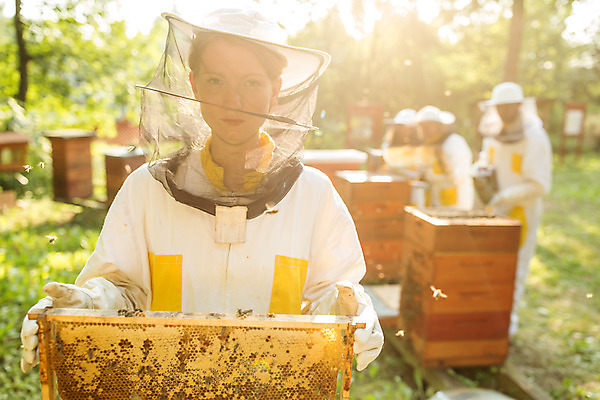 포토 JPG 서양인 외국인 여자 남자 40대 중년 농업 서기 들기 사람 여러명 상반신 20대 성인 야외 앞모습 옆모습 30대 꿀벌 벌 체코 꿀 벌집 벌꿀 양봉 양봉업 국내포토 유럽 산업 뷰포인트 다수 곤충 모션 인종 청년 장년 벌_곤충 파일형식