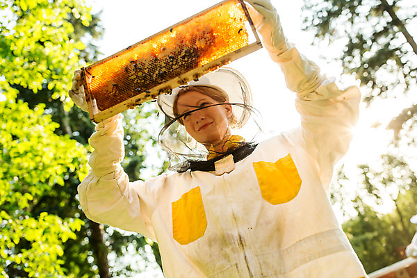 포토 JPG 서양인 외국인 응시 여자 로우앵글 농업 한명 서기 미소 들기 사람 상반신 20대 성인 야외 앞모습 꿀벌 벌 체코 꿀 벌집 벌꿀 양봉 양봉업 성인여자한명만 국내포토 1 시선 유럽 산업 뷰포인트 곤충 모션 표정 인종 청년 벌_곤충 여자한명만 성인여자만 파일형식