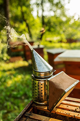 포토 JPG 서양인 외국인 농업 사람없음 야외 연기 꿀벌 벌 체코 꿀 벌꿀 양봉 양봉업 국내포토 유럽 산업 곤충 인종 벌_곤충 파일형식