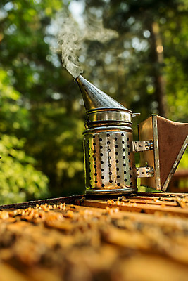 포토 JPG 농업 사람없음 야외 연기 꿀벌 벌 체코 꿀 벌꿀 양봉 양봉업 국내포토 유럽 산업 곤충 벌_곤충 파일형식