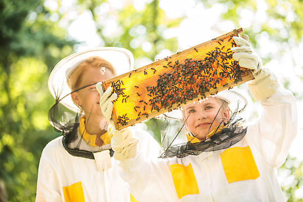 포토 JPG 서양인 외국인 응시 여자 어린이 농업 서기 들기 사람 소녀 상반신 20대 성인 야외 두명 앞모습 꿀벌 벌 체코 꿀 벌집 벌꿀 양봉 양봉업 여자만 국내포토 시선 유럽 산업 뷰포인트 곤충 모션 인종 청년 벌_곤충 파일형식
