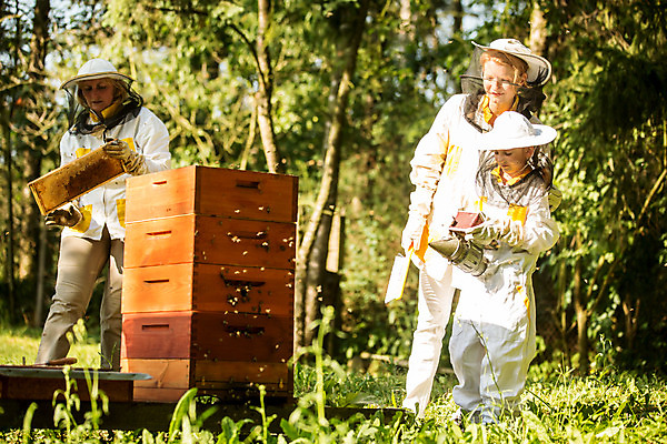 포토 JPG 전신 서양인 외국인 응시 여자 어린이 40대 중년 농업 서기 들기 사람 소녀 20대 성인 야외 앞모습 옆모습 세명 솔 연기 꿀벌 벌 뿌리기 체코 꿀 벌집 벌꿀 양봉 양봉업 여자만 국내포토 시선 유럽 산업 뷰포인트 곤충 모션 인종 청년 벌_곤충 파일형식