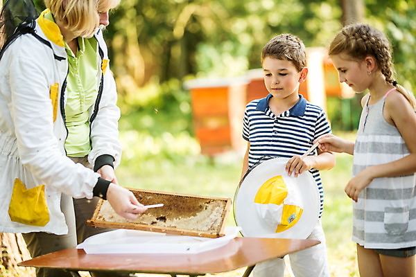 포토 JPG 서양인 외국인 모자 응시 여자 남자 어린이 40대 중년 농업 서기 사람 소녀 소년 상반신 야외 앞모습 옆모습 꿀벌 벌 체코 꿀 벌집 벌꿀 양봉 양봉업 국내포토 시선 잡화 유럽 산업 뷰포인트 곤충 모션 인종 성인 벌_곤충 파일형식