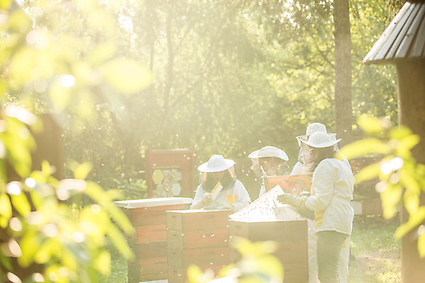 포토 JPG 서양인 외국인 응시 여자 남자 40대 중년 농업 서기 들기 사람 여러명 상반신 20대 성인 야외 앞모습 옆모습 30대 솔 꿀벌 벌 체코 꿀 벌집 벌꿀 양봉 양봉업 국내포토 시선 유럽 산업 뷰포인트 다수 곤충 모션 인종 청년 장년 벌_곤충 파일형식