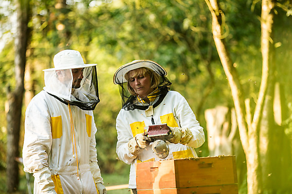 포토 JPG 서양인 외국인 응시 여자 남자 40대 중년 농업 설명 서기 사람 상반신 성인 야외 두명 앞모습 옆모습 30대 꿀벌 벌 체코 꿀 벌집 벌꿀 양봉 양봉업 국내포토 시선 유럽 산업 뷰포인트 곤충 모션 인종 장년 벌_곤충 파일형식