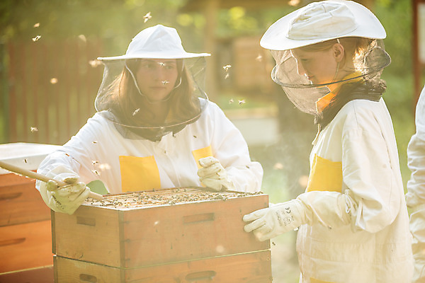 포토 JPG 서양인 외국인 응시 여자 농업 서기 사람 상반신 20대 성인 야외 두명 앞모습 옆모습 꿀벌 벌 체코 꿀 벌집 벌꿀 양봉 양봉업 성인여자만 국내포토 시선 유럽 산업 뷰포인트 곤충 모션 인종 청년 벌_곤충 여자만 성인만 파일형식