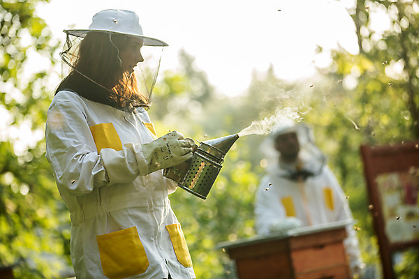 포토 JPG 서양인 외국인 응시 여자 농업 서기 들기 사람 상반신 20대 야외 두명 앞모습 옆모습 30대 꿀벌 벌 체코 꿀 벌집 벌꿀 양봉 양봉업 여자만 국내포토 시선 유럽 산업 뷰포인트 곤충 모션 인종 청년 장년 벌_곤충 파일형식