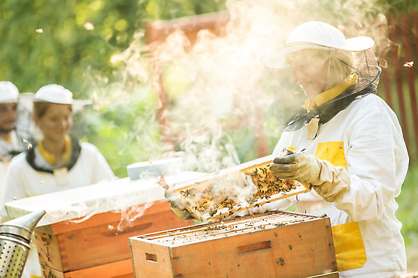 포토 JPG 서양인 외국인 응시 여자 남자 40대 중년 농업 서기 미소 들기 사람 상반신 20대 야외 앞모습 옆모습 세명 30대 꿀벌 벌 체코 꿀 벌집 벌꿀 양봉 양봉업 성인만 국내포토 시선 유럽 산업 뷰포인트 곤충 모션 표정 인종 청년 성인 장년 벌_곤충 파일형식