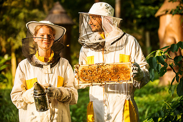 포토 JPG 서양인 외국인 응시 농업 서기 미소 들기 사람 상반신 20대 성인 야외 두명 앞모습 옆모습 30대 잡기 꿀벌 벌 체코 꿀 벌집 벌꿀 양봉 양봉업 성인만 국내포토 시선 유럽 산업 뷰포인트 곤충 모션 표정 인종 청년 장년 벌_곤충 파일형식