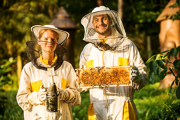 포토 JPG 서양인 외국인 손 응시 여자 남자 농업 서기 미소 들기 사람 상반신 20대 성인 야외 두명 앞모습 30대 잡기 꿀벌 벌 체코 꿀 벌집 벌꿀 양봉 양봉업 성인만 국내포토 시선 유럽 산업 뷰포인트 곤충 모션 표정 인종 청년 신체부위 장년 벌_곤충 파일형식