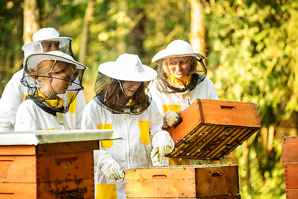 포토 JPG 서양인 외국인 응시 여자 남자 40대 중년 농업 서기 미소 들기 사람 여러명 상반신 20대 성인 야외 옆모습 30대 꿀벌 벌 체코 꿀 벌집 벌꿀 양봉 양봉업 국내포토 시선 유럽 산업 뷰포인트 다수 곤충 모션 표정 인종 청년 장년 벌_곤충 파일형식