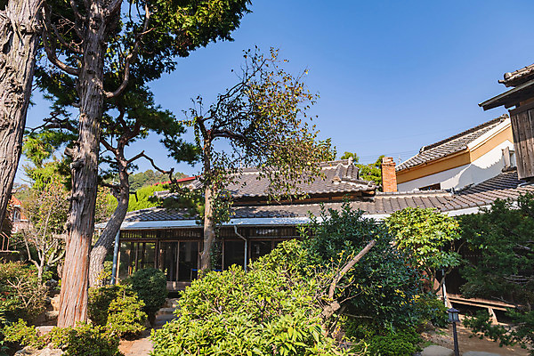 포토 JPG 주간 나무 고건축 풍경 사람없음 야외 관광지 국내여행 군산 군산신흥동일본식가옥 국내포토 자연요소 식물 건축물 여행 전라북도 일본가옥 파일형식