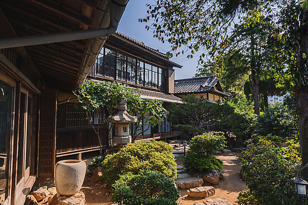 포토 JPG 주간 나무 고건축 풍경 사람없음 야외 관광지 정원 국내여행 군산 군산신흥동일본식가옥 국내포토 자연요소 식물 건축물 여행 전라북도 일본가옥 파일형식