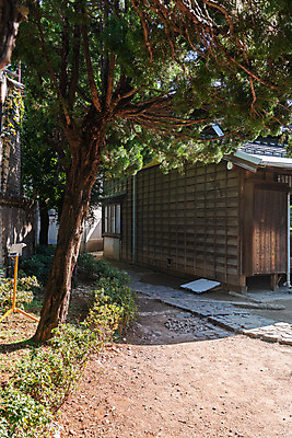 포토 JPG 주간 나무 고건축 풍경 사람없음 야외 관광지 정원 국내여행 군산 군산신흥동일본식가옥 국내포토 자연요소 식물 건축물 여행 전라북도 일본가옥 파일형식