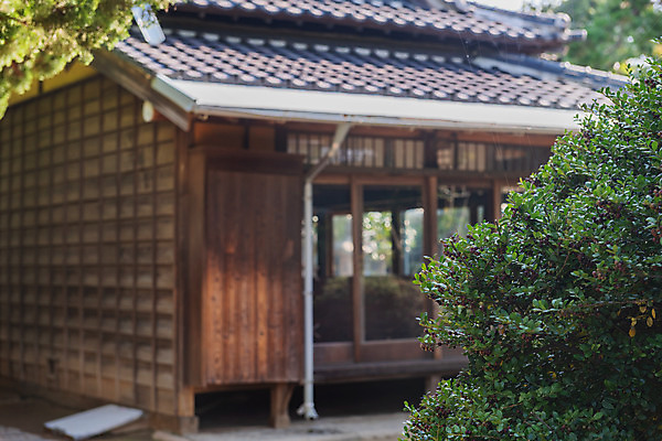 포토 JPG 주간 고건축 잎 풍경 사람없음 야외 아웃포커스 관광지 정원 국내여행 군산 군산신흥동일본식가옥 국내포토 자연요소 식물 건축물 여행 촬영기법 전라북도 일본가옥 파일형식