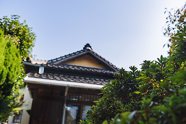 포토 JPG 주간 고건축 잎 하늘 지붕 풍경 사람없음 야외 아웃포커스 관광지 국내여행 군산 군산신흥동일본식가옥 국내포토 자연요소 식물 건축물 여행 촬영기법 전라북도 일본가옥 파일형식