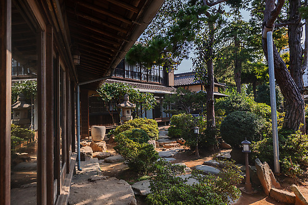 포토 JPG 주간 나무 고건축 풍경 사람없음 야외 관광지 정원 국내여행 군산 군산신흥동일본식가옥 국내포토 자연요소 식물 건축물 여행 전라북도 일본가옥 파일형식