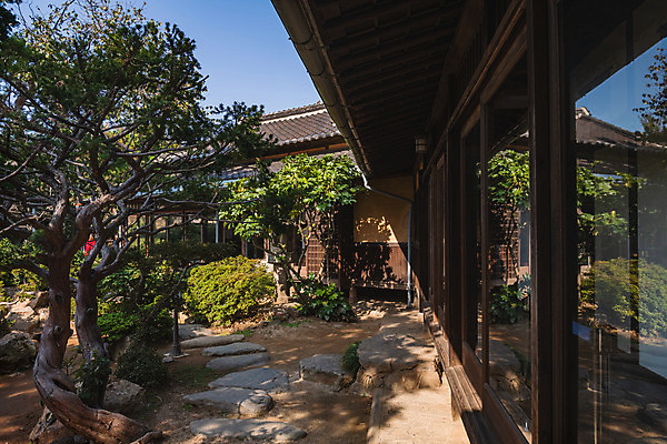 포토 JPG 주간 나무 고건축 풍경 사람없음 야외 관광지 정원 국내여행 군산 군산신흥동일본식가옥 국내포토 자연요소 식물 건축물 여행 전라북도 일본가옥 파일형식