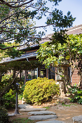 포토 JPG 주간 나무 고건축 풍경 사람없음 야외 관광지 정원 국내여행 군산 군산신흥동일본식가옥 국내포토 자연요소 식물 건축물 여행 전라북도 일본가옥 파일형식