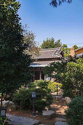 포토 JPG 주간 나무 고건축 풍경 사람없음 야외 관광지 정원 국내여행 군산 군산신흥동일본식가옥 국내포토 자연요소 식물 건축물 여행 전라북도 일본가옥 파일형식