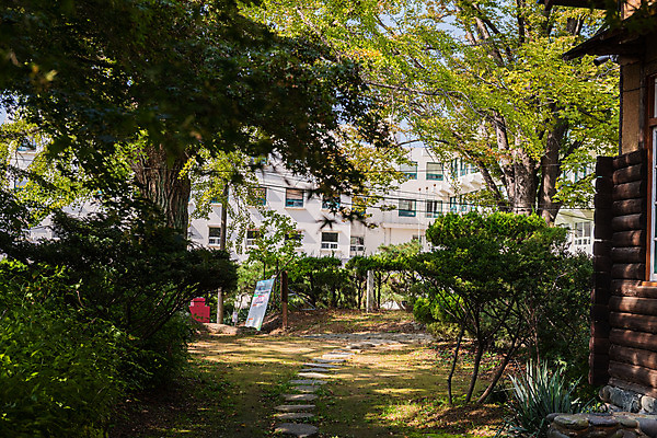 포토 JPG 주간 나무 고건축 풍경 사람없음 야외 관광지 정원 국내여행 군산 이영춘가옥 국내포토 자연요소 식물 건축물 여행 문화재 전라북도 파일형식