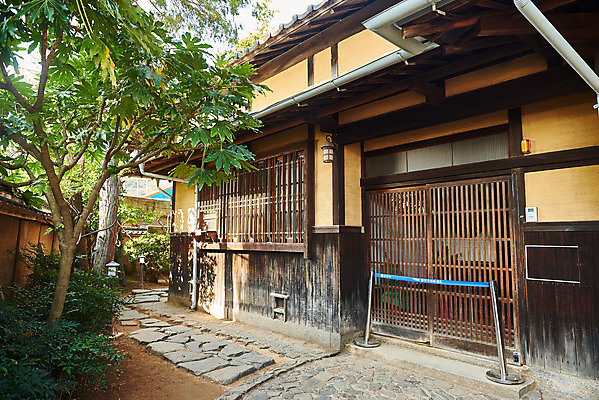 포토 JPG 주간 나무 고건축 풍경 사람없음 야외 관광지 정원 국내여행 군산 군산신흥동일본식가옥 국내포토 자연요소 식물 건축물 여행 전라북도 일본가옥 파일형식