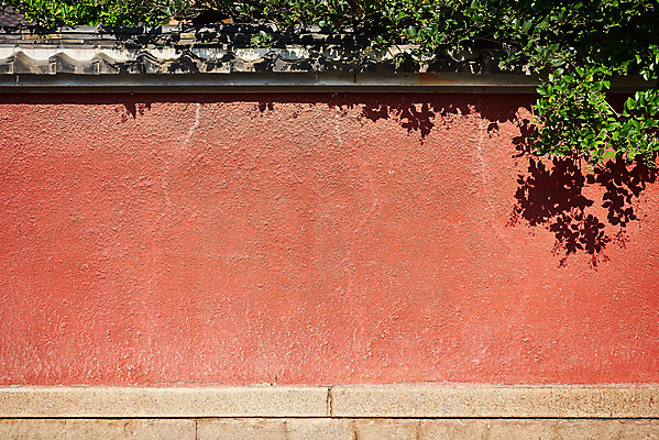 포토 JPG 주간 나무 벽 고건축 풍경 사람없음 야외 관광지 담장 국내여행 군산 군산신흥동일본식가옥 국내포토 자연요소 식물 건축물 여행 전라북도 일본가옥 파일형식