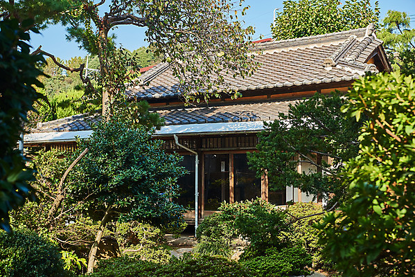 포토 JPG 주간 나무 고건축 풍경 사람없음 야외 관광지 정원 국내여행 군산 군산신흥동일본식가옥 국내포토 자연요소 식물 건축물 여행 전라북도 일본가옥 파일형식