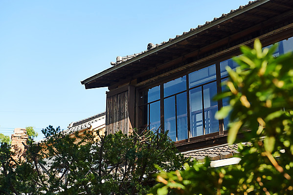 포토 JPG 주간 나무 로우앵글 고건축 풍경 사람없음 야외 관광지 국내여행 군산 군산신흥동일본식가옥 국내포토 자연요소 식물 건축물 뷰포인트 여행 전라북도 일본가옥 파일형식