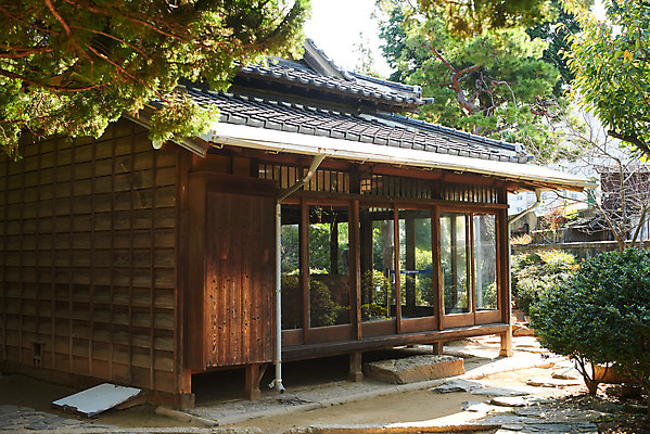 포토 JPG 주간 나무 고건축 풍경 사람없음 야외 관광지 정원 국내여행 군산 군산신흥동일본식가옥 국내포토 자연요소 식물 건축물 여행 전라북도 일본가옥 파일형식