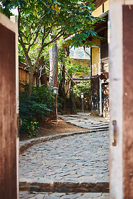 포토 JPG 주간 나무 고건축 풍경 사람없음 야외 관광지 문 정원 국내여행 군산 군산신흥동일본식가옥 국내포토 자연요소 식물 건축물 여행 전라북도 일본가옥 파일형식