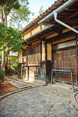 포토 JPG 주간 나무 고건축 풍경 사람없음 야외 관광지 정원 국내여행 군산 군산신흥동일본식가옥 국내포토 자연요소 식물 건축물 여행 전라북도 일본가옥 파일형식