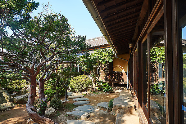 포토 JPG 주간 나무 고건축 풍경 사람없음 야외 관광지 정원 국내여행 군산 군산신흥동일본식가옥 국내포토 자연요소 식물 건축물 여행 전라북도 일본가옥 파일형식