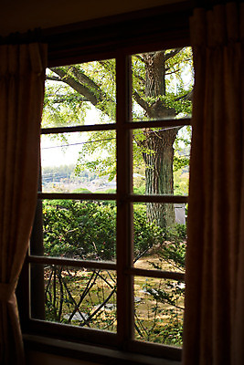 포토 JPG 주간 고건축 창문 풍경 사람없음 야외 관광지 국내여행 군산 이영춘가옥 국내포토 자연요소 건축물 여행 문화재 전라북도 파일형식