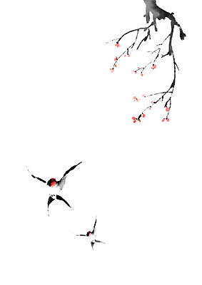 PSD 나무 두마리 일러스트 캘리그라피 붓터치 사람없음 나뭇가지 절기 동양화 꽃봉오리 번짐 제비 춘분 국내일러스트 식물 계절 꽃 2 조류 미술 파일형식 효과